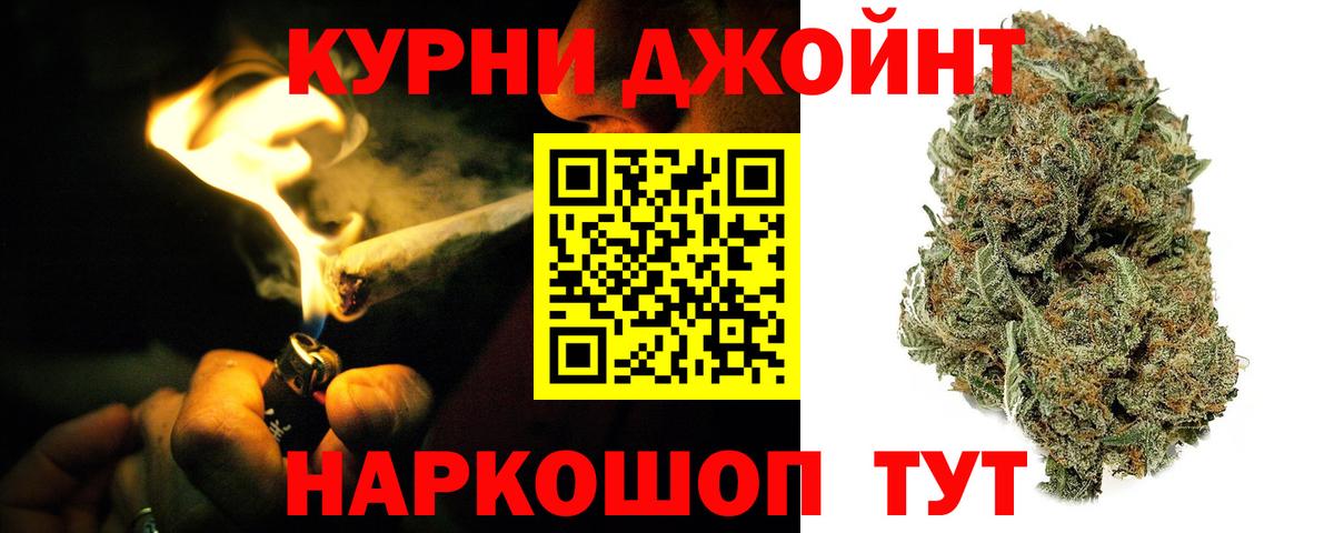 Бошки марихуана сатива Шатура